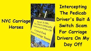 Intercepting Pedicab Driver's Bait & Switch Scam For Horse Carriage Drivers