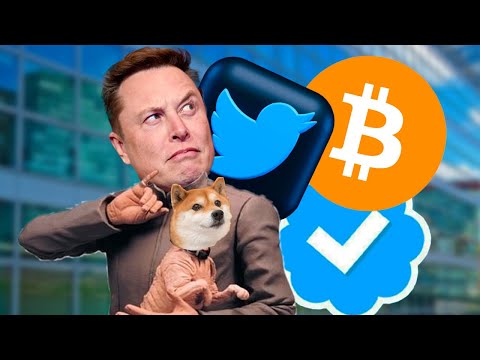 elon-fires-twitter-leadership