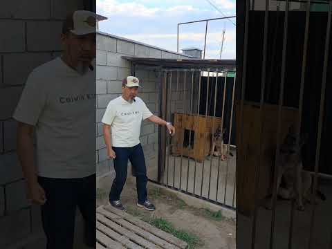 Простой приём с дверью.