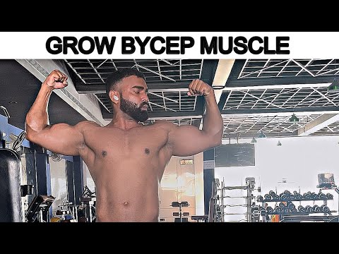 Best Bicep Exercises For Mass ||B FIT Gym Mirzapur
