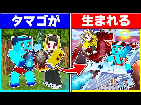 炎のドラゴンを育てた子供VS水のドラゴンを育てた子供の対決【まいくら / マインクラフト】