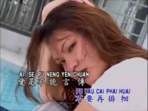 庄学忠 – 谁能禁止我的爱