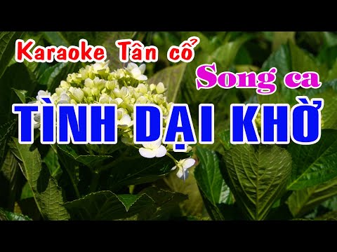 Karaoke tân cổ TÌNH DẠI KHỜ – SONG CA