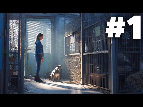 Animal Shelter 2 Gameplay Walkthrough Part 1 - INTRO
