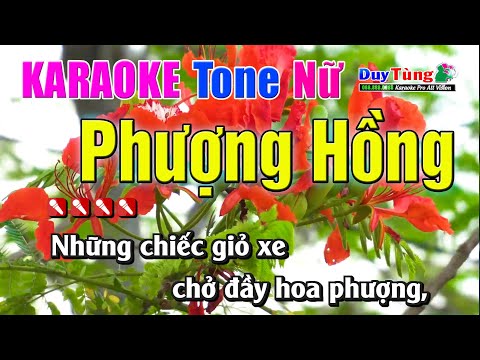 Karaoke || Phượng Hồng – Tone Nữ || Nhạc Sống Duy Tùng