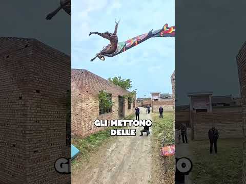 questo cane รจ incredibile!