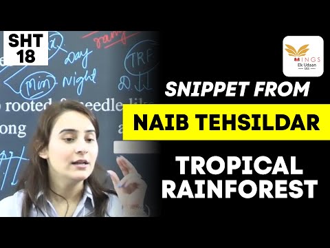 TROPICAL RAINFOREST | SHORTS FROM OUR NAIB TEHSILDAR BATCH | SHT18