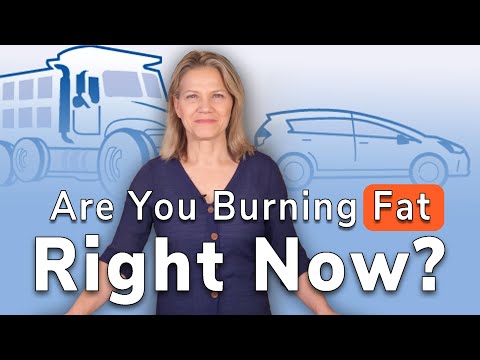 Burn Fat NOT Carbs – Signs You’re Becoming Fat Adapted