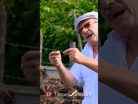 Temel Dursun TV - Veresiye Satış #shorts