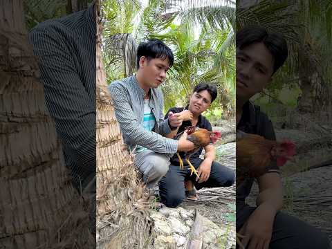 Con Gà Không Có Trong Giỏ? #shorts #trending #haihuoc