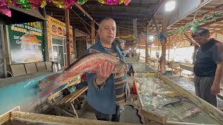 URGANCH SHAHAR BALIQ BOZORI BALIQ NARXLARI KESKIN TUSHDIMI😉