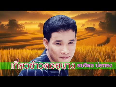 เกี่ยวข้าวคอยนาง – สมจิตร บ่อทอง