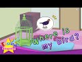 Where is My Bird and Bag?