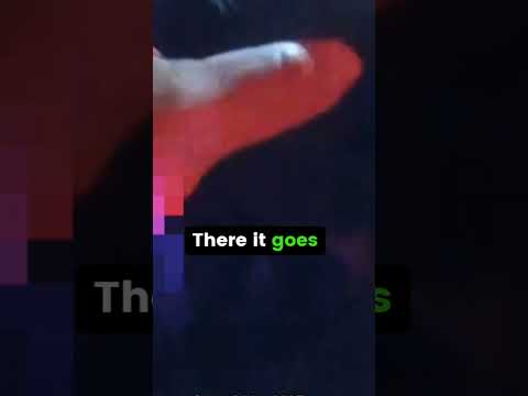 RESCATE DE CIEGO QUE SE AHOGABA EN CANAL