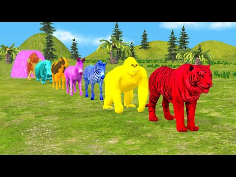 Paint Animals Game With Elephant Gorilla Cow Tiger Hippo Fountain Crossing Animal Game Animation #5
