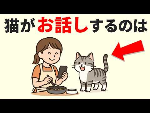 猫の動画サムネイル - あなたは知らない!?【猫目線の本音】我々人間は完全に勘違いしていた…！猫好きさんへ贈る20の猫の真実 #猫 #雑学 #豆知識
