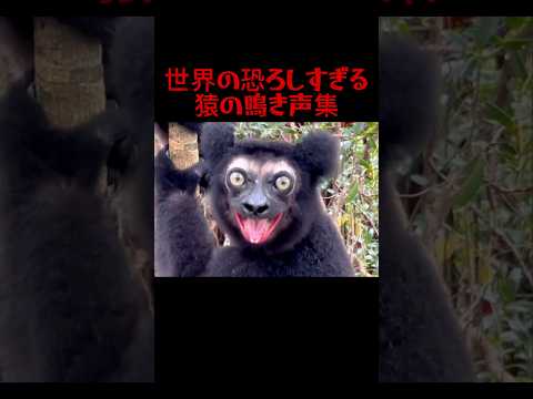 猿恐怖症続出⚠️