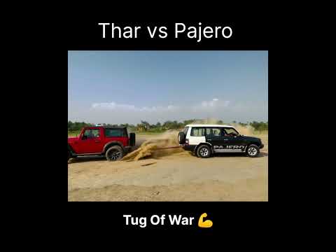 Tug Of War #shorts #thar #pajero