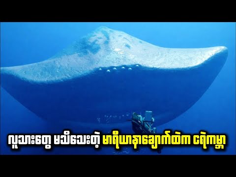 ရေအောက် ၇ မိုင် အောက်ခြေကနေ ကျွန်ုပ်တို့ကို စောင့်ကြည့်နေတာ ဘယ်သူလဲ?