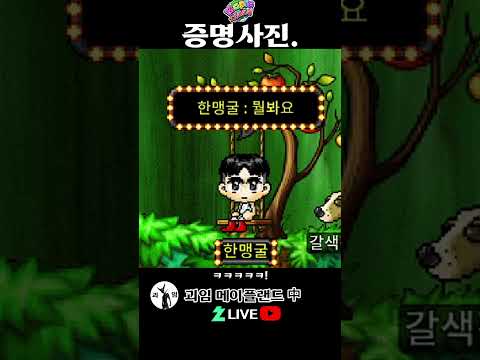 증명사진 코디. 메이플랜드