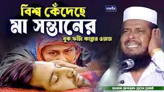 বিশ্ব কেঁদেছে মা সন্তানের কান্নার ঘটনা।তোফাজ্জল হোসেন ভৈরবী। tofazzal hossain bhairovi | Bangla Waz