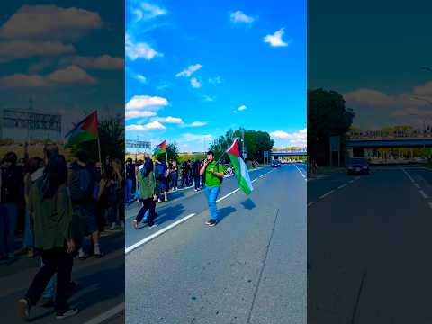 ay hay e ki holo italy palestine