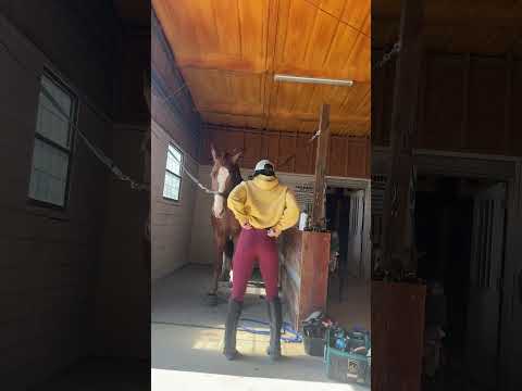 Goofing around at the barn