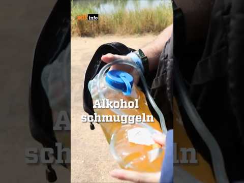 Tomorrowland: Alkohol-Schmuggel aufs Festival #zdfinfo #festival #tomorrowland