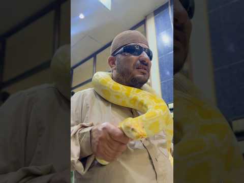 ‏￼كمشت ‏￼ ‏حية🐍💪🏻😂￼ حيوانات أليفة ￼( نزار الحموي #shorts