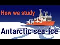 Penguin Behavior and Polynyas Impact