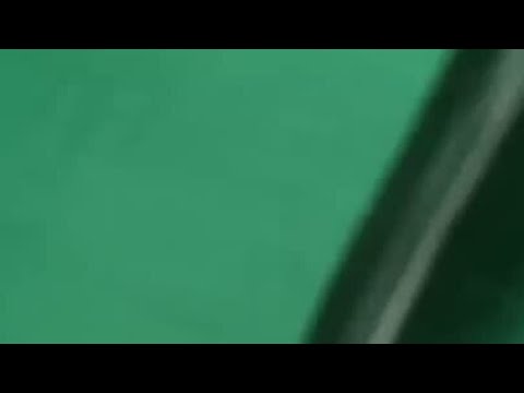 MarvinVlogt vs. BÄR?! 🐻🥊