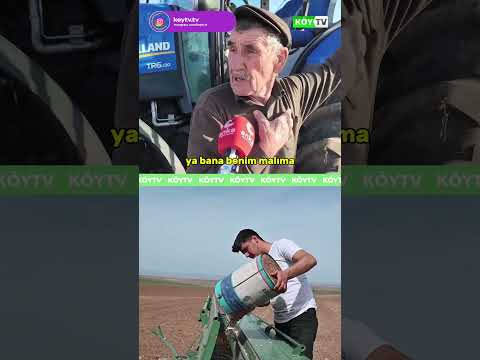 Ekmeğin Kıymetini Bilmiyoruz!  #köy #çiftçi #tarım