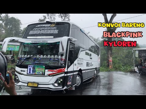 Bus Tunggal Jaya Blackpink &  Kids Panda Main Ke Gunung Lawu