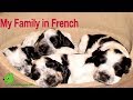 Family Relationships and Dynamics