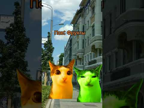 Фрукты #котики #милота #рекомендации #мем #актив