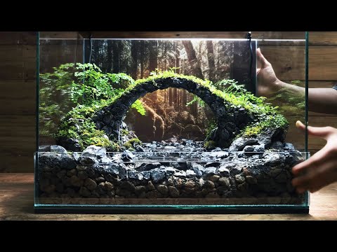 Discover the Secrets of Creating A Mini Forest Bridge | Micro Landscape | Paludarium