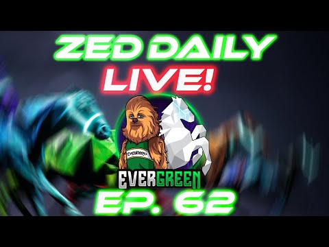 Zed Daily EP. 62 |  Zed & Chill | Zed run