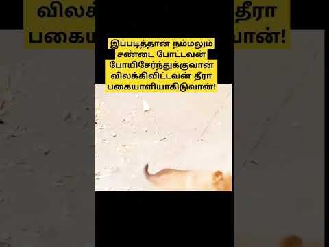 கடைசியில் இப்படியா#shortvideo #shorts #short #farming #elephant #funnyanimals #funny #animals