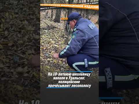 На 10-летнюю школьницу напали в Уральске: полицейские прочёсывают лесополосу