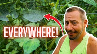 If They Aren’t EVERYWHERE, You Are Doing To Much…