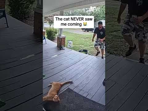 The cat NEVER saw me coming 😹