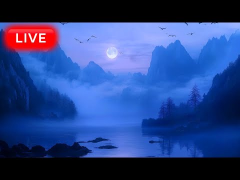 &#128308; 24 Hours of Beautiful &quot;Misty Cliffs&quot; Sleep Music by Yellow Brick Cinema | Fall Asleep Immediately