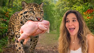 Feeding the RAREST Animals EVER!