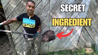 How We Keep Our Compost Thriving (and the Secret Ingredient We've Never Shared!)