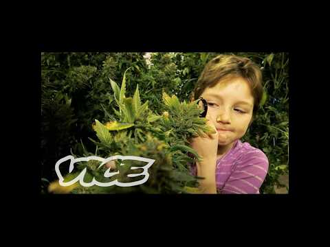 未成年の大麻事情|WEEDIQUETTE