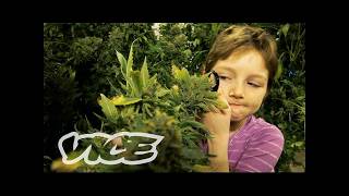 未成年の大麻事情｜WEEDIQUETTE