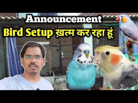 Announcement | Bird Setup ख़त्म Kar Raha Hun | Kyun?