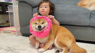 雷が鳴り始め震えが止まらない豆柴と緊張を和らげようとなだめてあげる1歳児