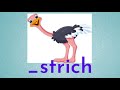 Ostrich Facts and Behaviors