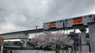 4/7 多摩モノレールと桜　高幡不動〜程久保